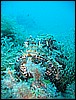 IMG_4240.JPG