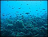 IMG_4245.JPG