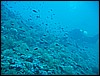 IMG_4247.JPG
