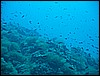 IMG_4248.JPG