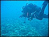 IMG_4253.JPG