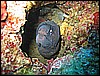 IMG_4257.JPG