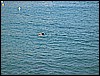 IMG_4261.JPG