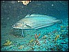 IMG_4297.JPG