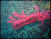 IMG_4300.JPG