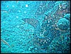 IMG_4308.JPG
