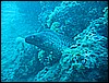 IMG_4309.JPG