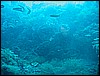 IMG_4313.JPG
