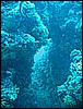 IMG_4316.JPG