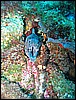 IMG_4318.JPG