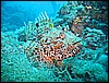 IMG_4323.JPG