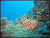 IMG_4325.JPG