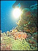 IMG_4326.JPG
