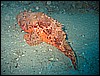 IMG_4328.JPG