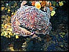IMG_4331.JPG