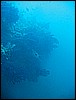 IMG_4335.JPG