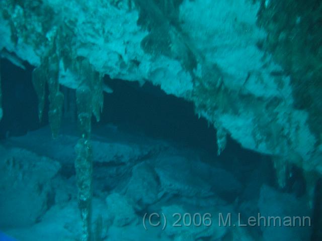 IMG_6589.JPG
