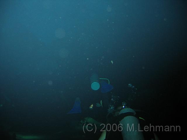IMG_6591.JPG