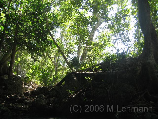 IMG_6633.JPG