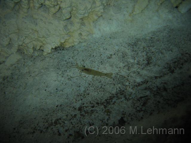 IMG_6639.JPG