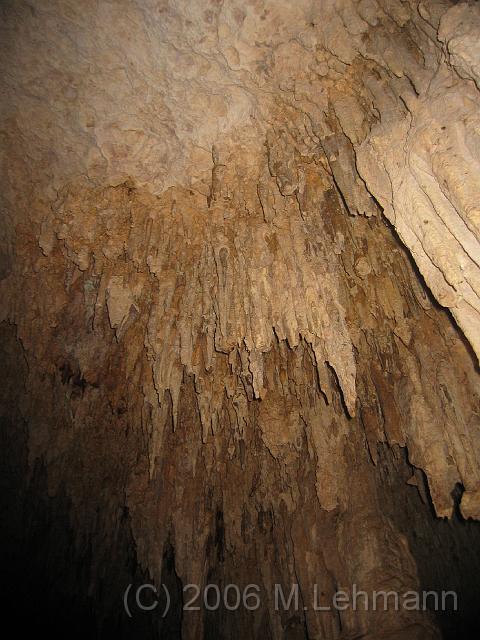 IMG_6642.JPG