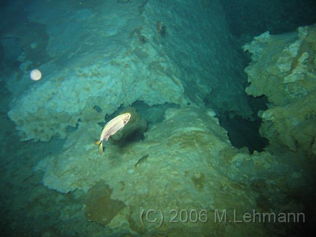 IMG_6654.JPG