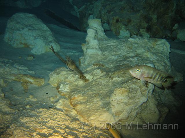 IMG_6658.JPG