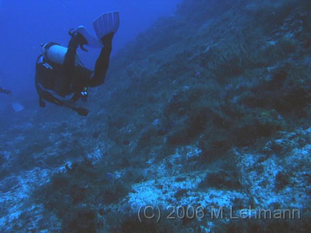 IMG_6702.JPG