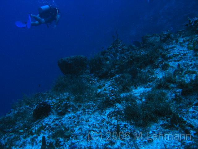IMG_6710.JPG