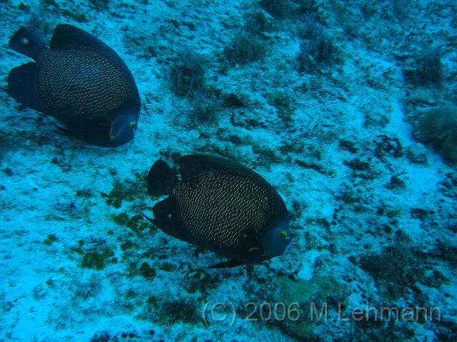 IMG_6715.JPG