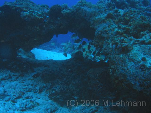 IMG_6720.JPG