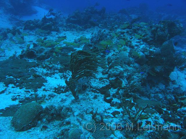 IMG_6721.JPG