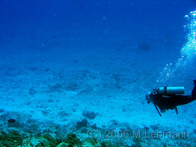 IMG_6724.JPG