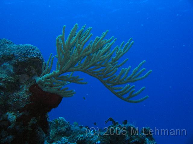 IMG_6730.JPG