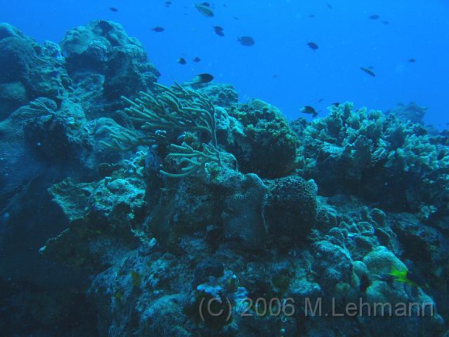 IMG_6732.JPG