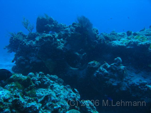 IMG_6733.JPG