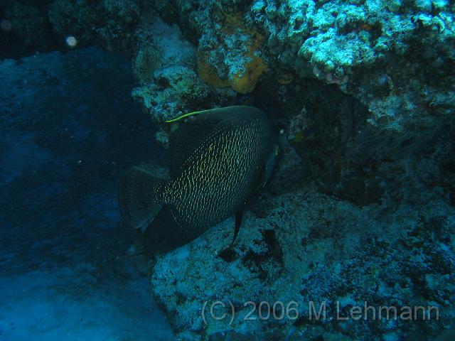 IMG_6740.JPG