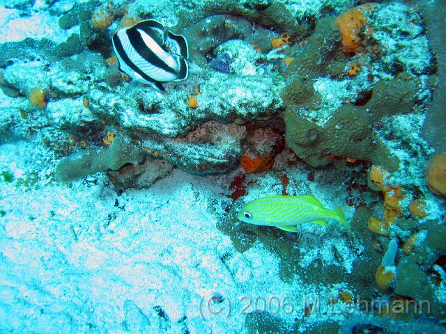 IMG_6741.JPG