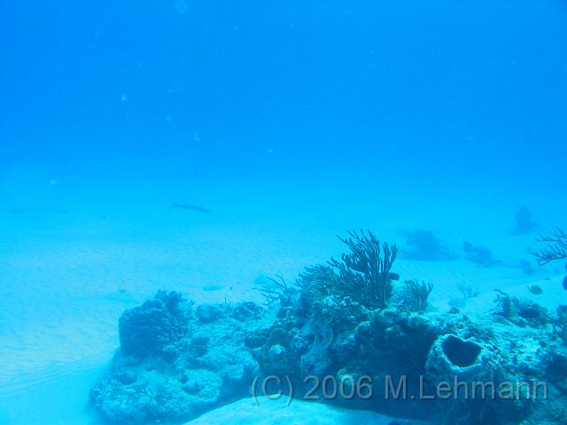 IMG_6747.JPG