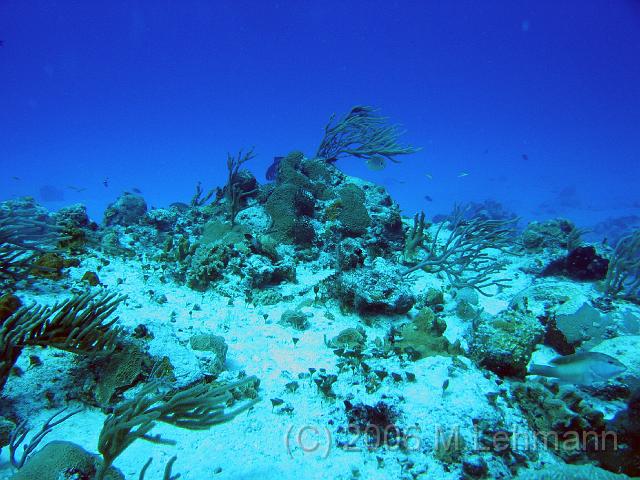 IMG_6749.JPG