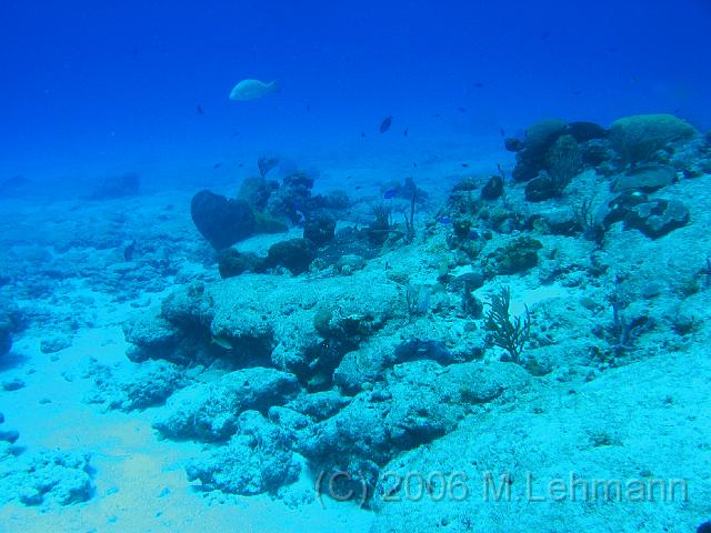IMG_6756.JPG