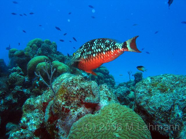 IMG_6761.JPG