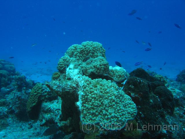 IMG_6762.JPG