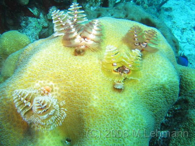 IMG_6765.JPG