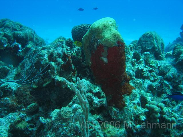 IMG_6769.JPG