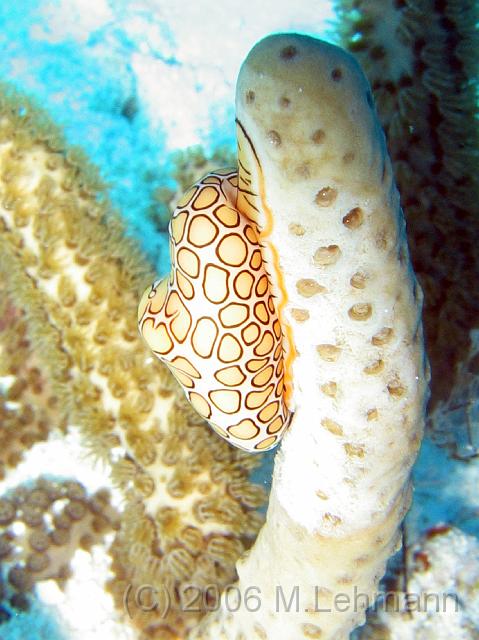 IMG_6776.JPG