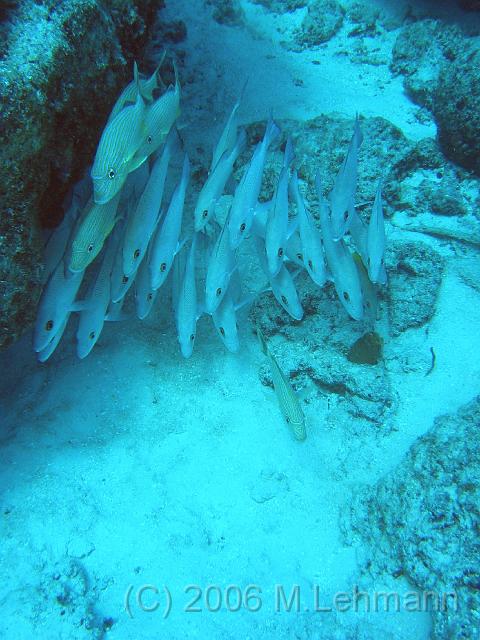 IMG_6789.JPG