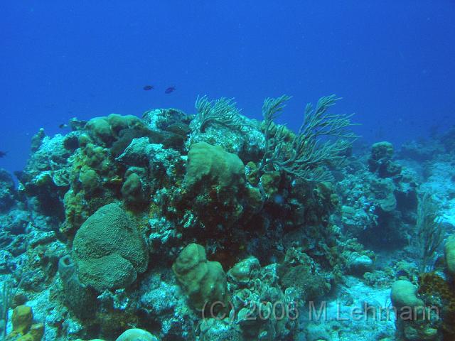 IMG_6790.JPG