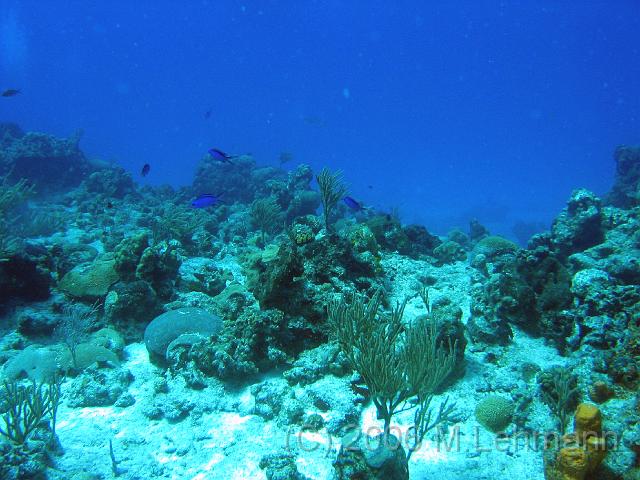 IMG_6791.JPG