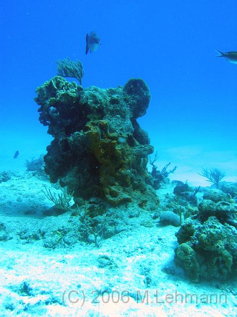 IMG_6793.JPG